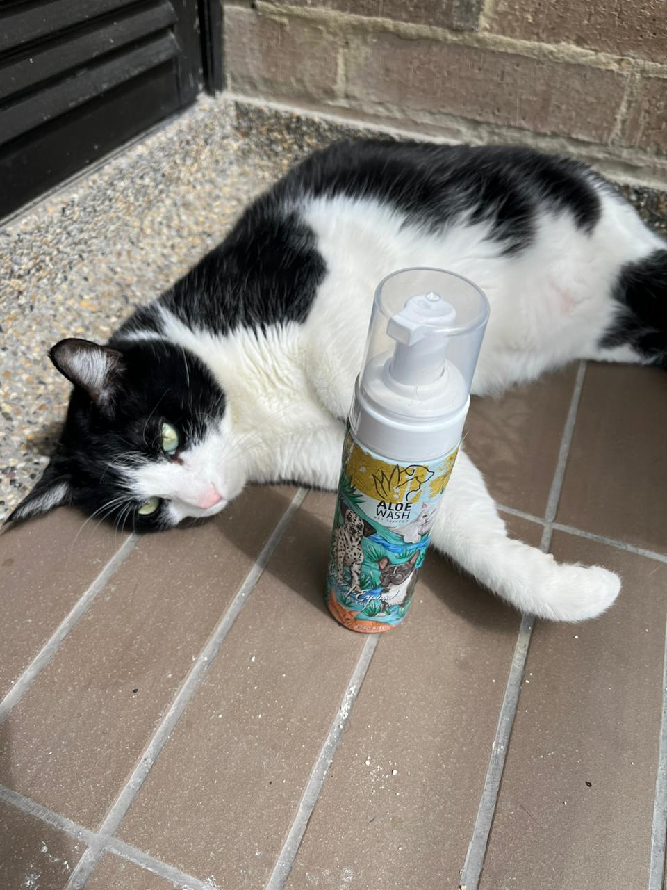 Shampoo en Seco para Mascotas <Espuma con Aloe Vera e Ingredientes Naturales>