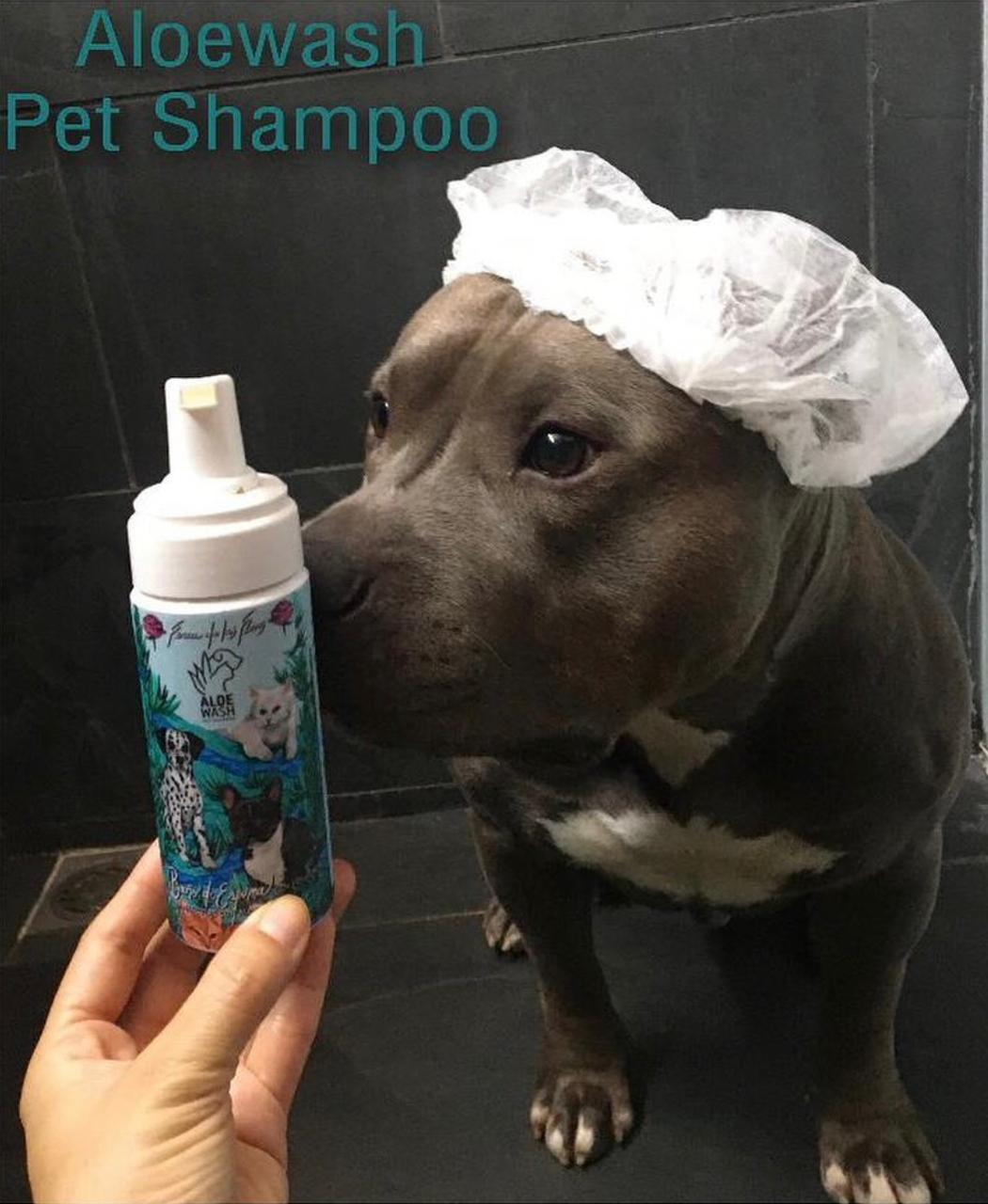 Shampoo en Seco para Mascotas <Espuma con Aloe Vera e Ingredientes Naturales>