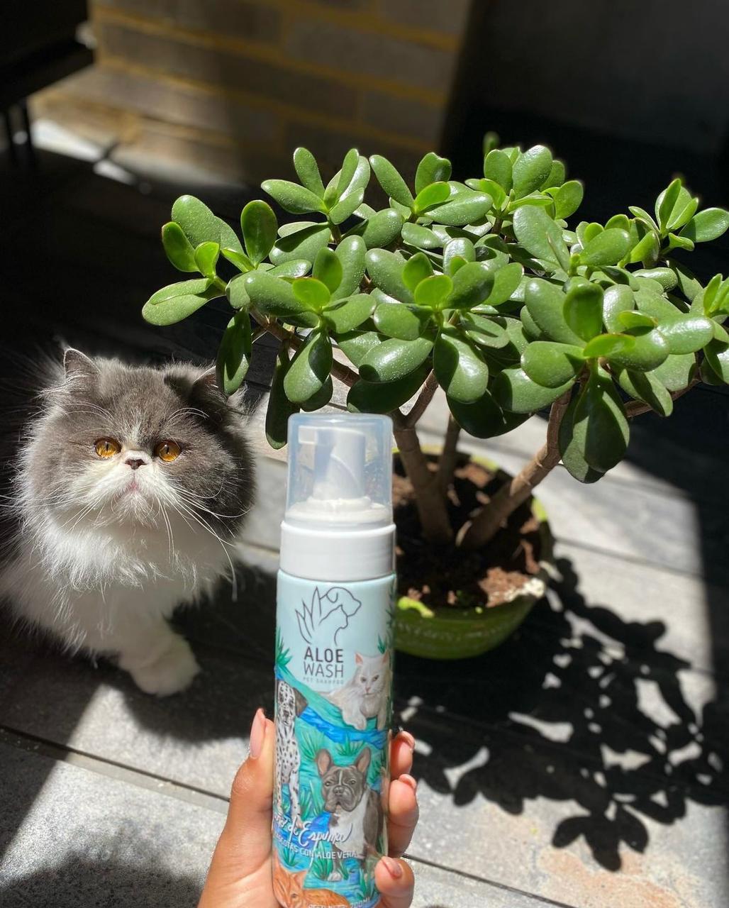 Shampoo en Seco para Mascotas <Espuma con Aloe Vera e Ingredientes Naturales>